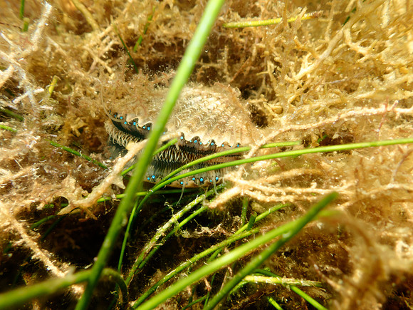 P7140722