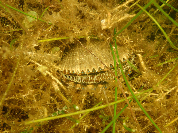 P7140672