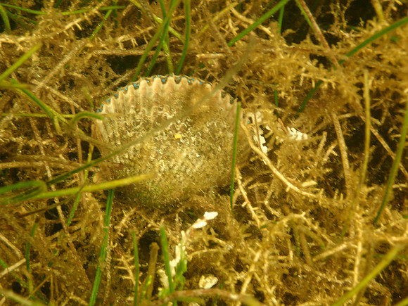 P7140675
